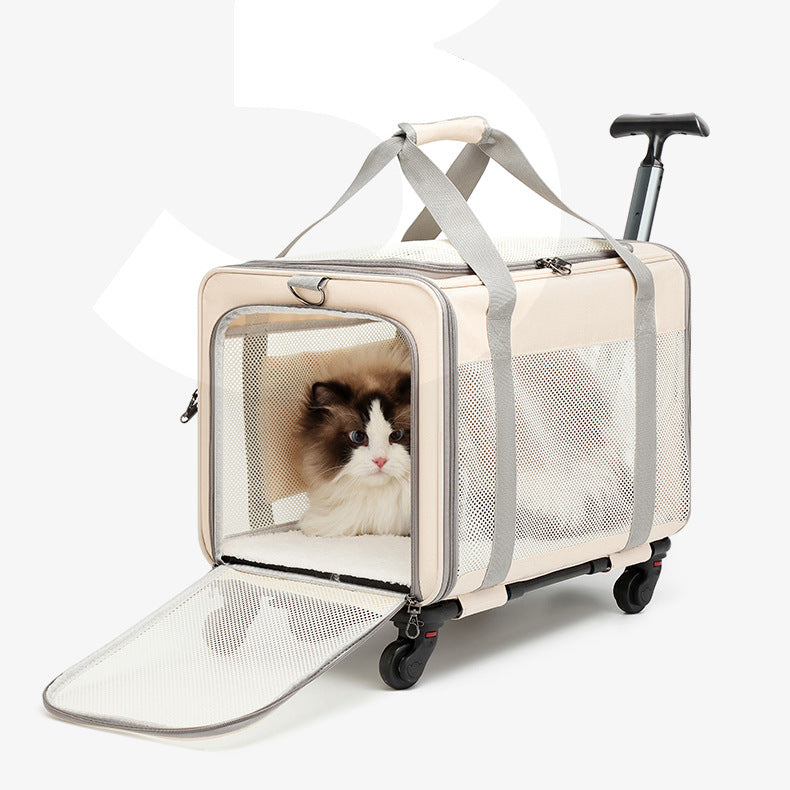 Cat bag large capacity folding pet trolley case