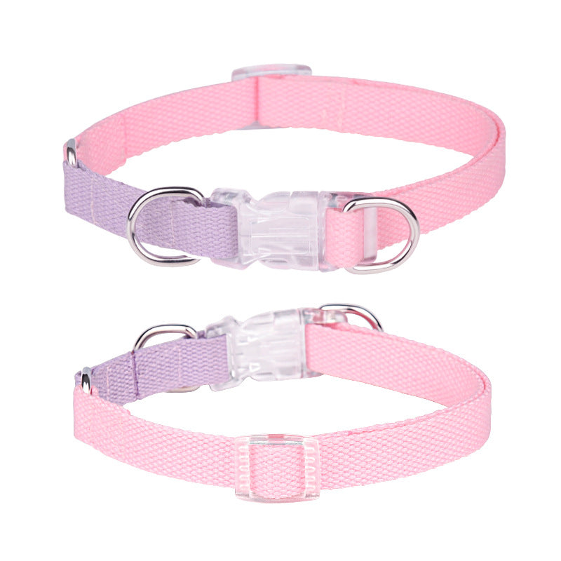 Macaron color matching pet collar