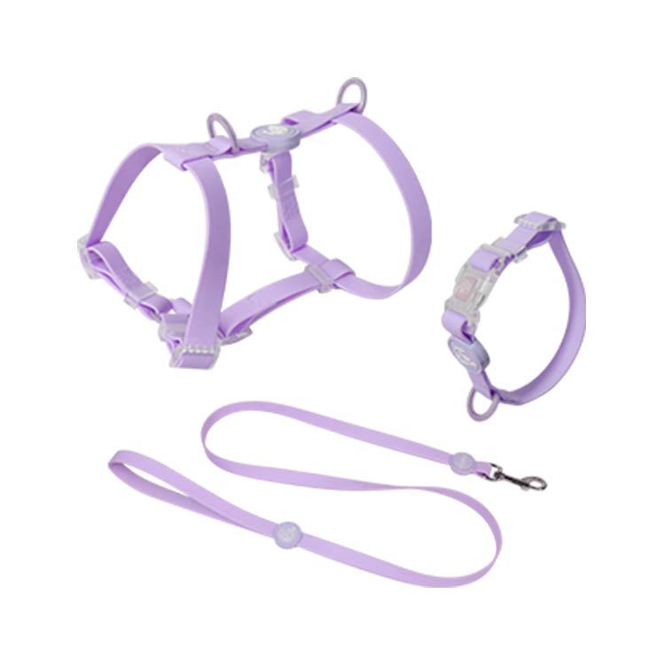 leash walking dog leash set