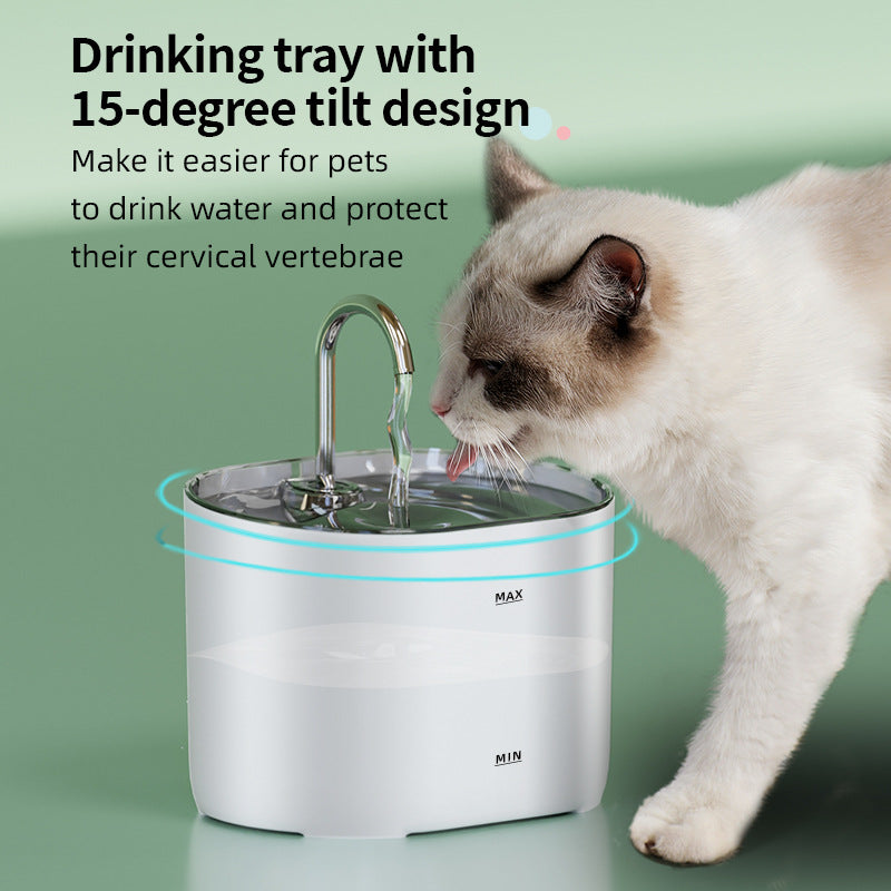 Pet water dispenser