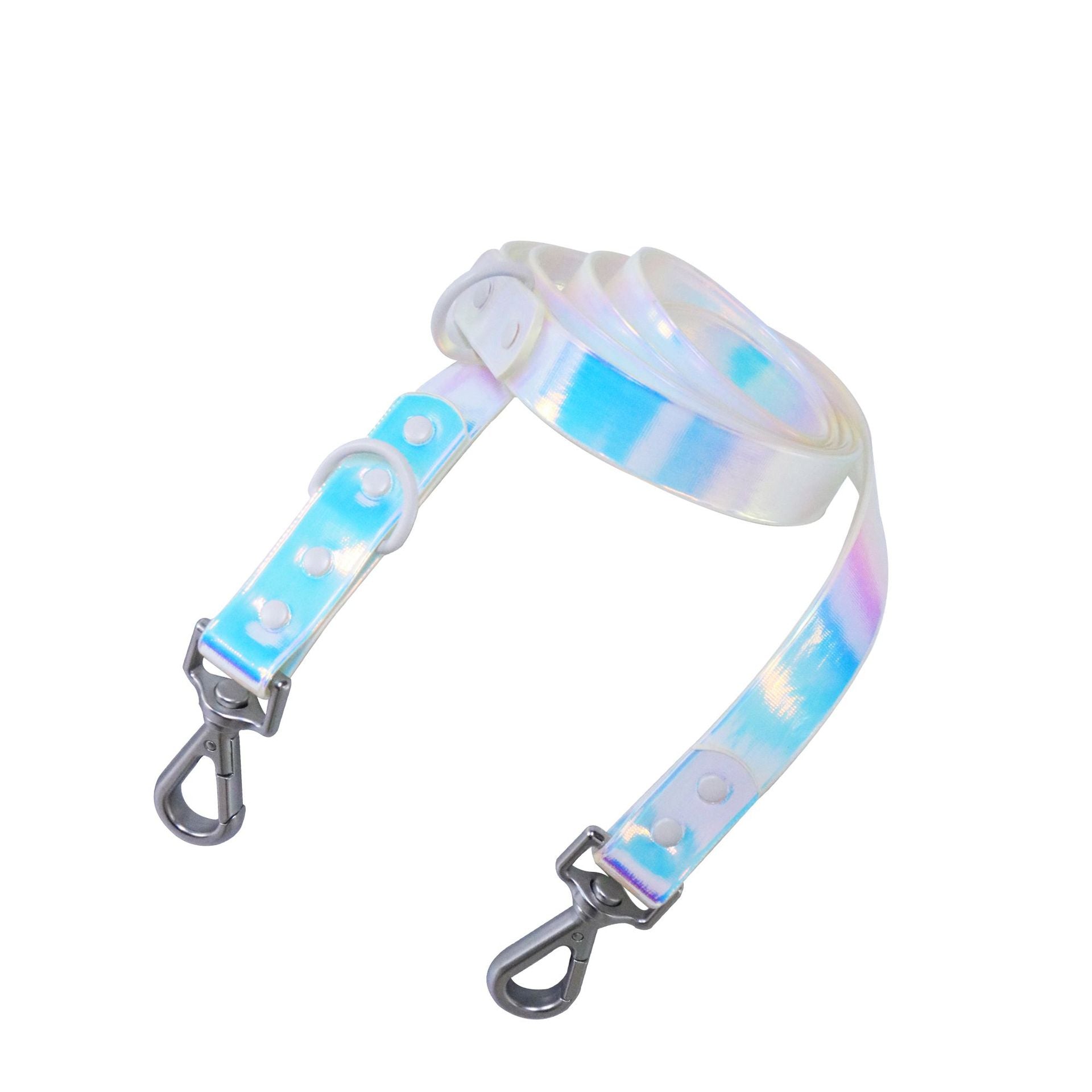 Rainbow leash dog