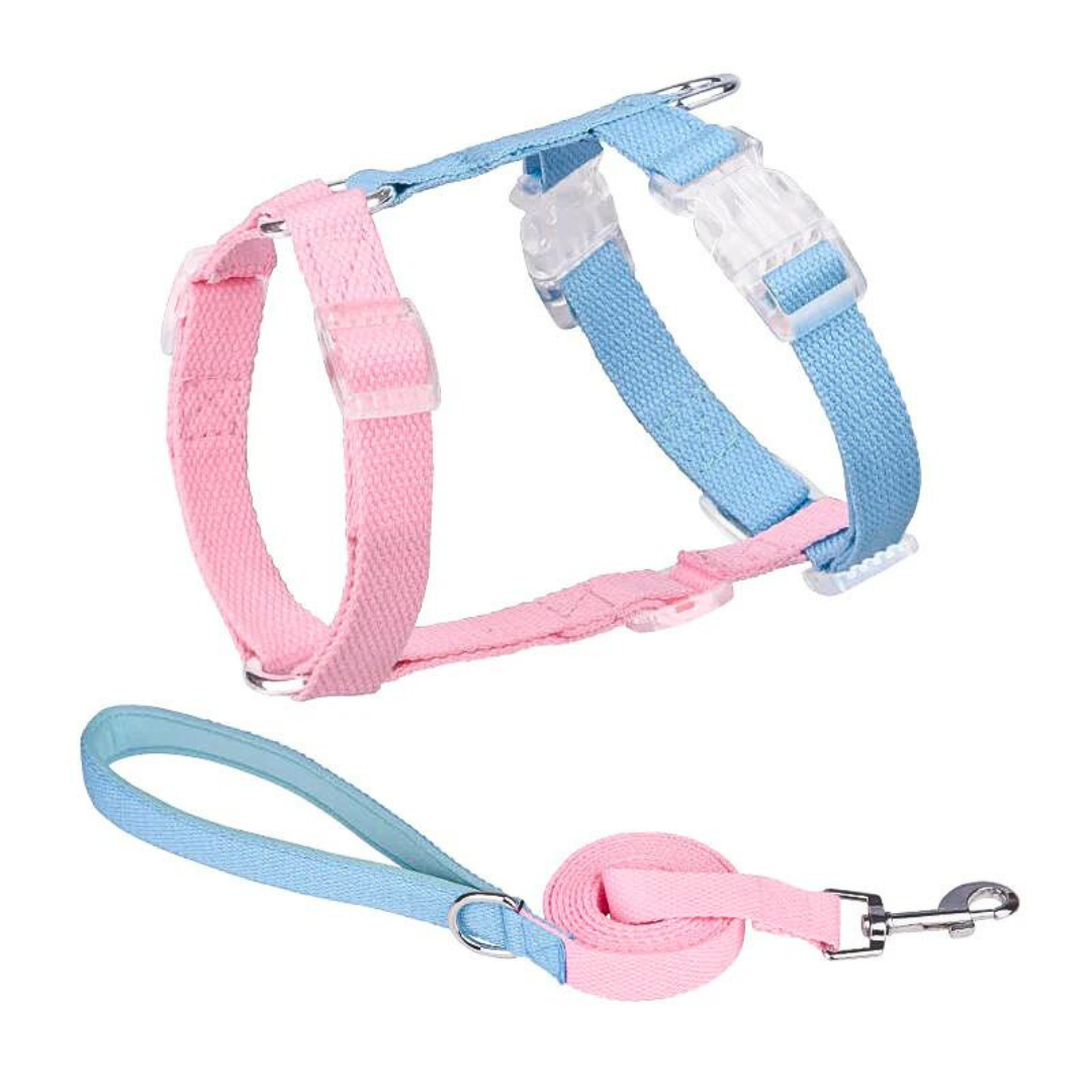 Pet chest strap macaron color matching