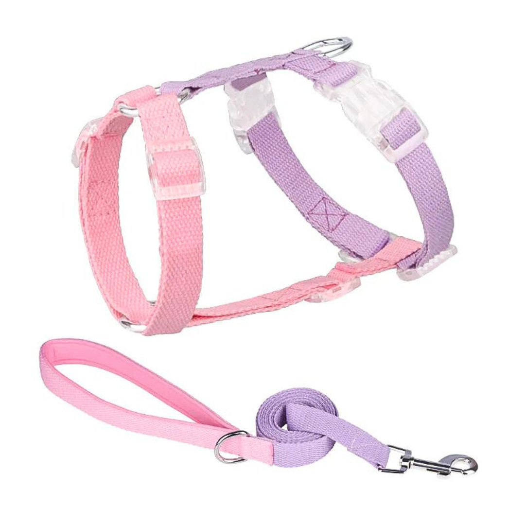 Pet chest strap macaron color matching